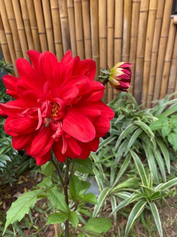 Trang An Moon Garden Homestay Нин Бин Екстериор снимка
