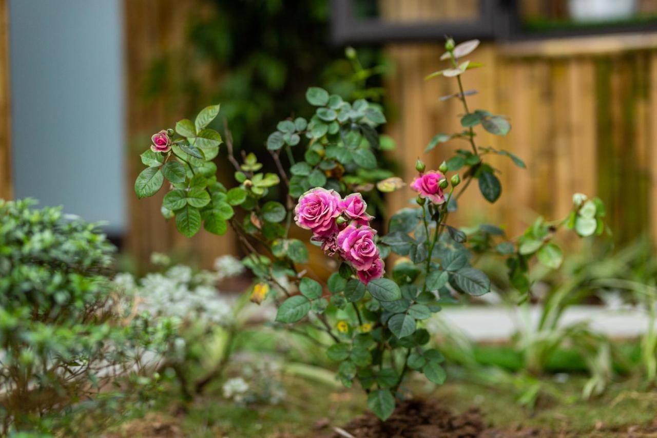 Trang An Moon Garden Homestay Нин Бин Екстериор снимка